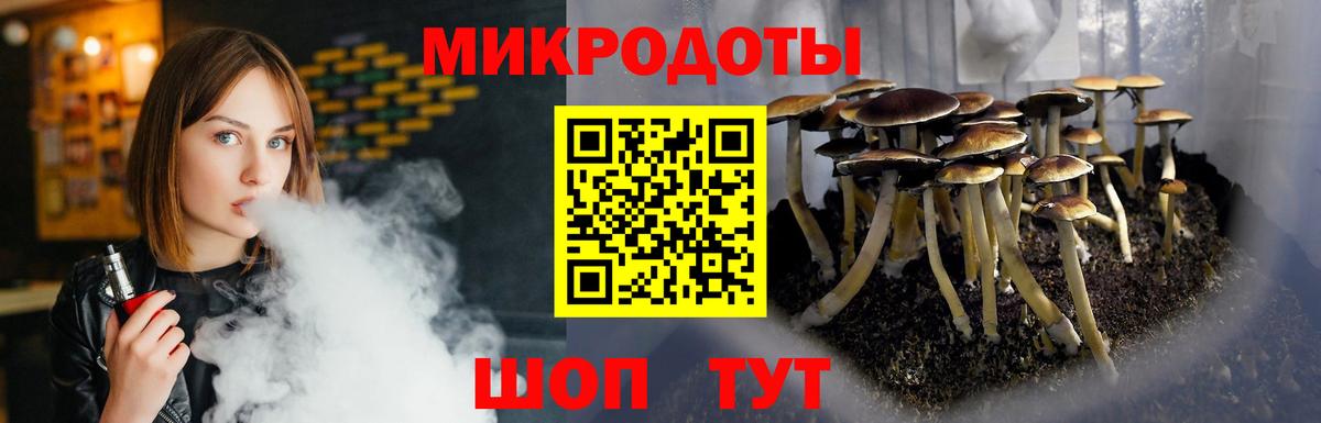 Псилоцибиновые грибы прущие грибы  Вход с VPN  Вязьма 
